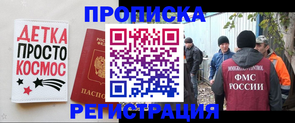 прописка поиск в Невеле